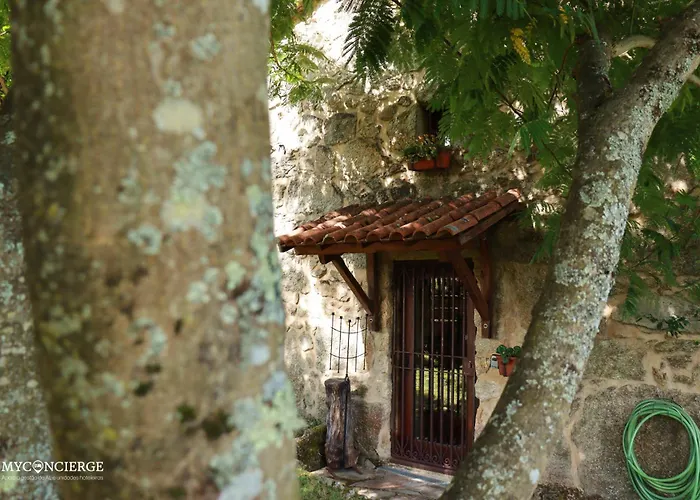 Casa de Férias Vista Vale de Cambra